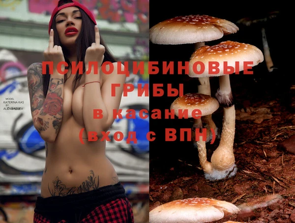 a pvp Инта