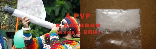 a pvp Инта