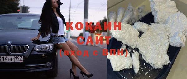 2c-b Инсар