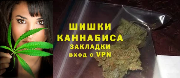 2c-b Инсар