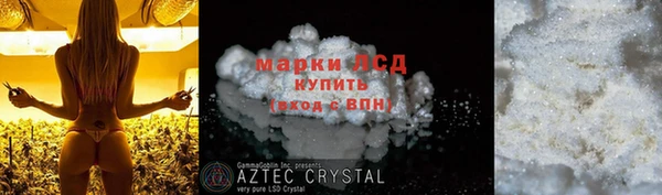 2c-b Инсар