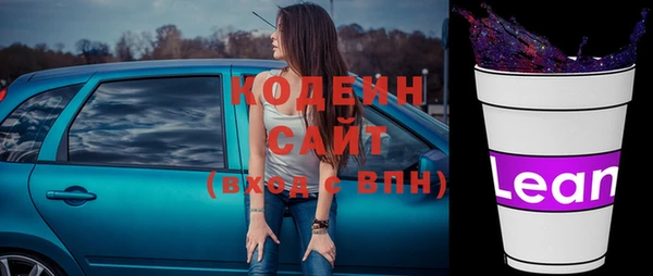 2c-b Инсар