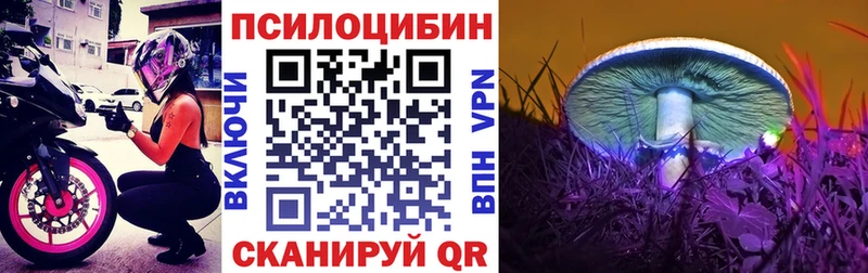 Купить  Гагарин  Псилоцибиновые грибы мухоморы 